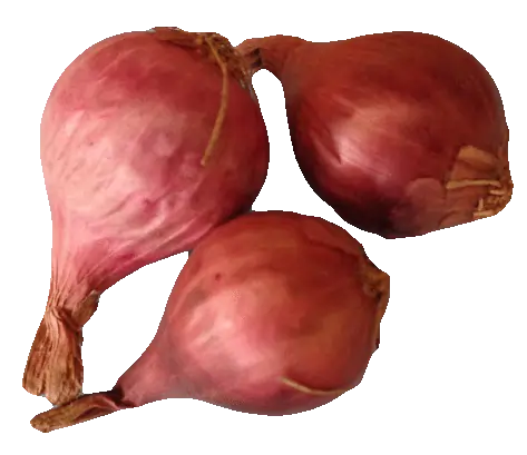 Red Onion